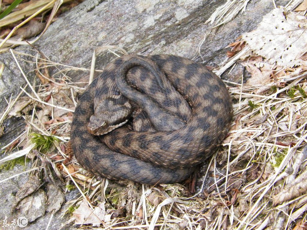 吉林地区特色节目主持人风采展示