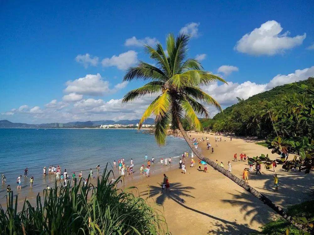 海南小巷美食探秘，独特风味宝藏大揭秘