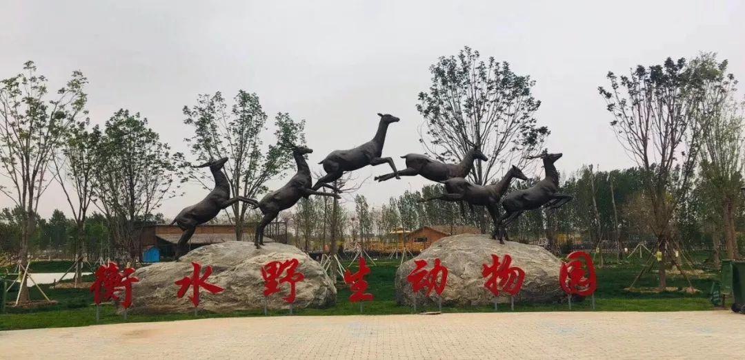 衡水，千年古韵与现代新城的交融之光